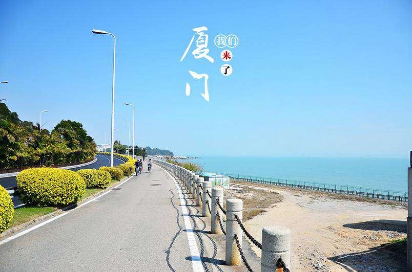 厦门旅游网站设计方向(图1)